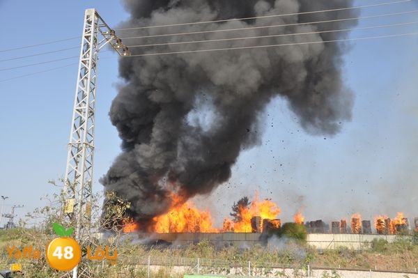 firecartoonsecnd506 (47).JPG